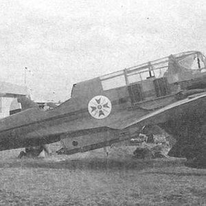 PZL 43, Bulgarian AF (2)