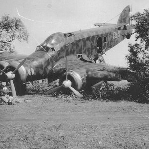 Savoia-Marchetti SM.79 Sparviero crashed (2)