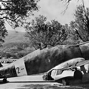 Fiat G.50 Freccia, Italian AF