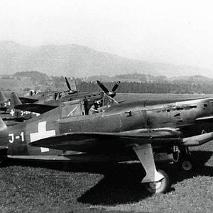 Morane-Saulnier MS.406, J-1, Swiss AF