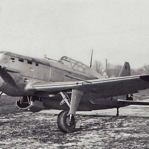 Morane-Saulnier MS.406, "Black 601", Swiss AF (1)