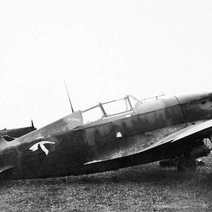 Morane-Saulnier MS.406, nr.691, "White 12", France  1940