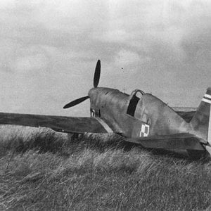 Caudron CR.714C1 Cyclone,  Polish AF, France  1940