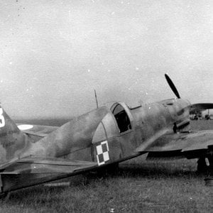 Caudron CR.714C1 Cyclone, "White 13",  GC. I/145,  Polish AF, France  1940