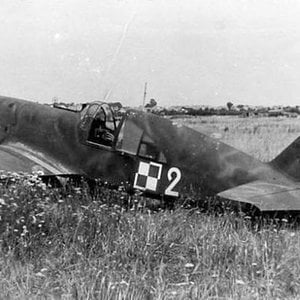Caudron CR.714C1, "White 2",  Polish AF,  France 1940