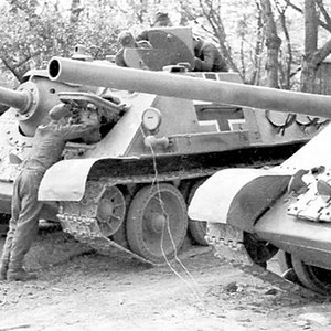 SU-85, two captured and used by Germans soviet SAUs