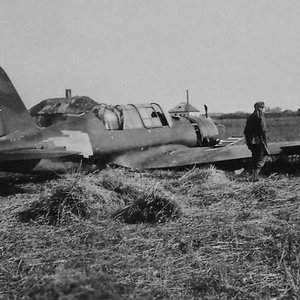 Sukhoi Su-2 "Red 6" shot down in 1941