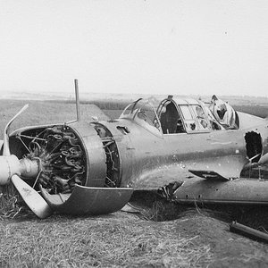 Sukhoi Su-2 shot down,  1941