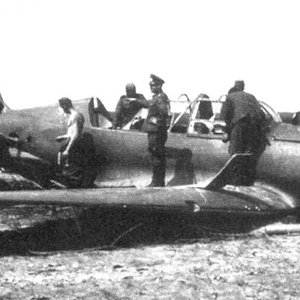 Sukhoi Su-2 "Yellow 7" shot down in  1941