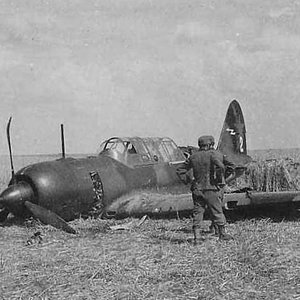 Sukhoi Su-2 "White 2" shot down in 1941