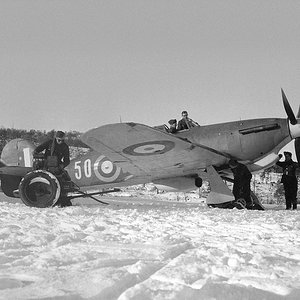 Hurricane MkII.b, RAF 151 Wing, no.81 Squadron, USSR,  1941
