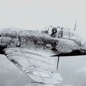 Dewoitine D.520 no.203, 1941