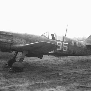 Dewoitine D.520, JG 101, Pau, France, 1944