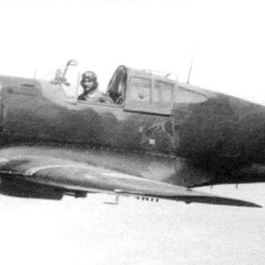 Curtiss H.75 no.298, "Blue 2", GC I/5