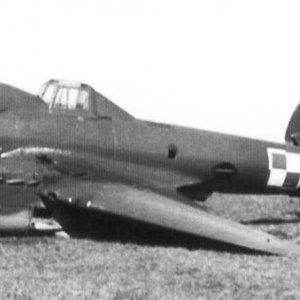 Petlyakov Pe-2UT, the Polish AF | Aircraft of World War II ...