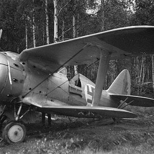 Polikarpov I-153, Finland