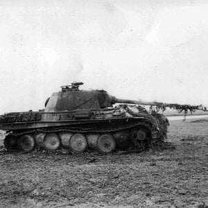 Pz.Kpfw. V Panther Ausf.G , Malmedy, Belgium, 1944/45