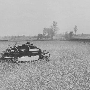 StuG III ,Russia, 1941