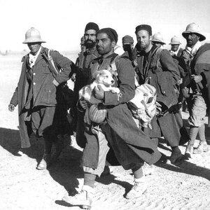 Italian POWs , North Africa.