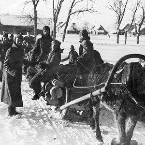 250 Einheit spanischer Freiwilliger, the  Winter 1941/42