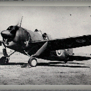 RAAF Brewster F2A Buffalo