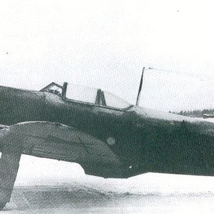 Yak-1