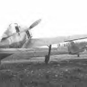 Fiat G.50 and Fw-190
