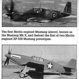 1st merlin engined Mustang & XP-51B Merlin prototype.jpg