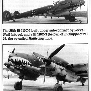 25th Bf 110C-1 built by FW.jpg