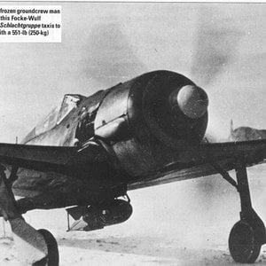 FW190A-5U8 in russia .jpg