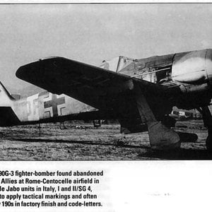 FW190G-3 abandoned in Italy .jpg