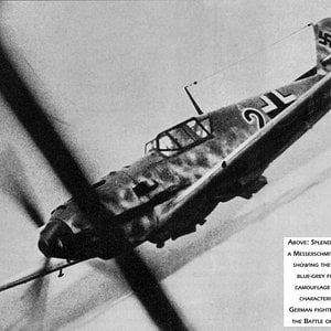 Bf109 with mottled camouflage.jpg