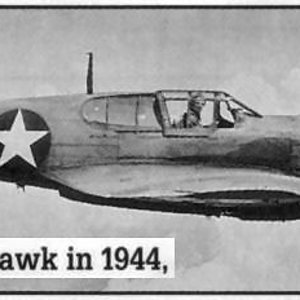 P40N-1 Warhawk in 1944.jpg