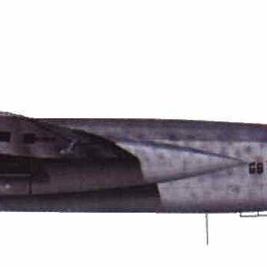 He-219
