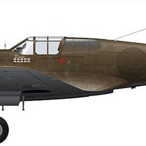 P-40K