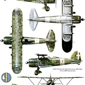 Fiat CR-42 Views