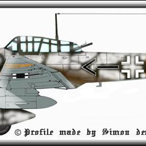 Rudel ju87G-1 profile