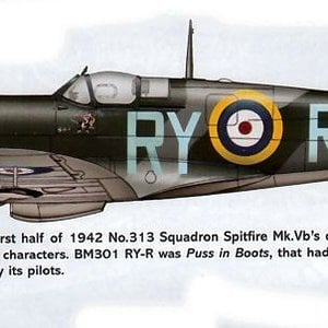 Spitfire Mk Vb RY-R BM301 313sdn