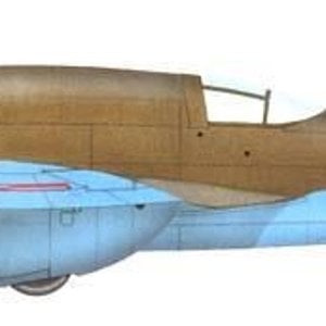 Panstwowe Zaklady Lotnicze PZL P38I Wilk