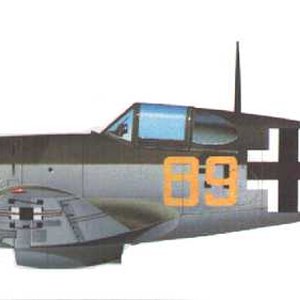 JG 101 D.520