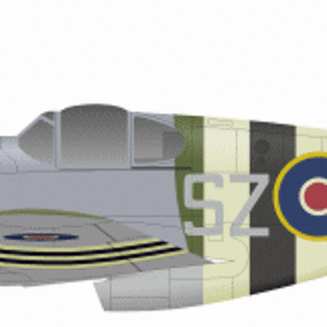 Mustang Mk.III of 316 Sqdn RAF