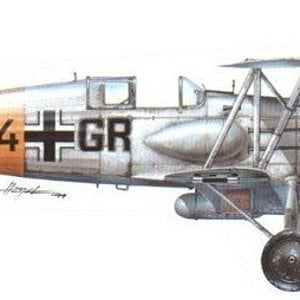 Avia B534 Captured Luftwaffe Winter Camo