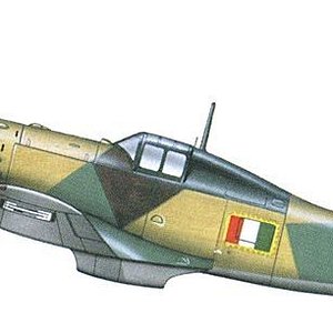 Fiat G.55, 1a Sqadriglia, IIo gruppo ANR, May 1944 (Experimental Segmental