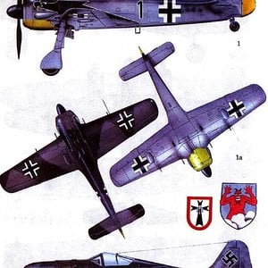 Fw 190s