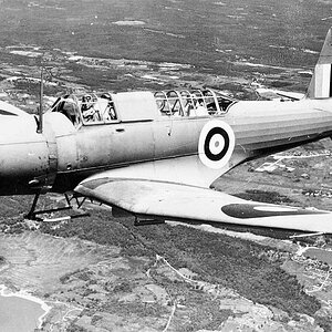 Vought V-156B-1 Chesapeake I , RAF (1)