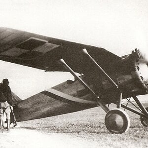PZL P-6, NAR, Cleveland, USA, 1931 (2)