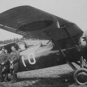PZL P-11b, "White 10", Romanian AF, 1936
