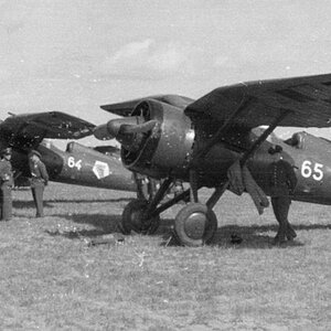 PZL P-11c  "White 65" & "White 64",  142 FS, 4 Air Regiment