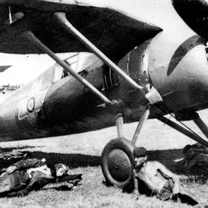 PZL P-24E "White 6", IAR made, Romanian AF
