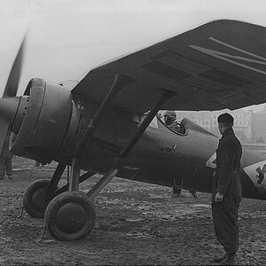 PZL P-11a "White 4", 113 FS, 1939